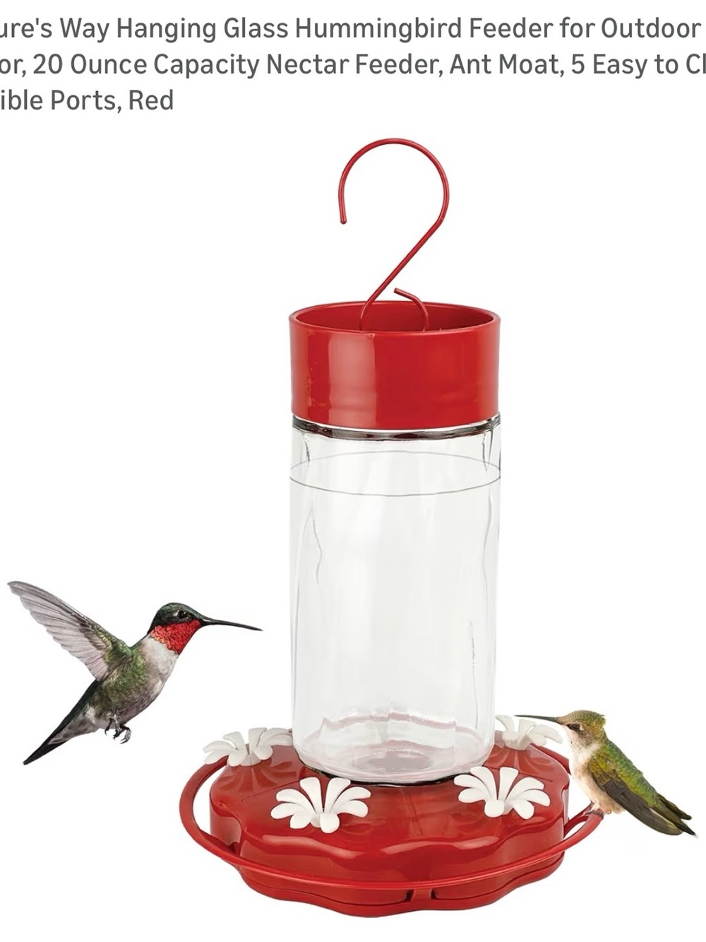 Hummingbird feeder